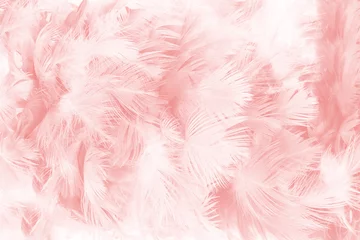 Fototapeten Coral Pink vintage color trends feather texture background  © nadtytok28