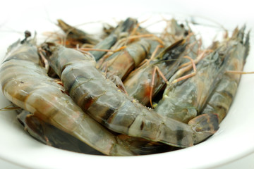 Fresh shrimp