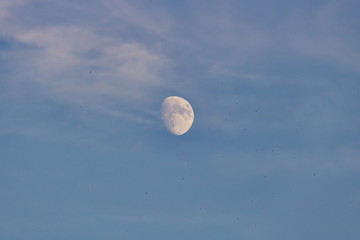 Moon