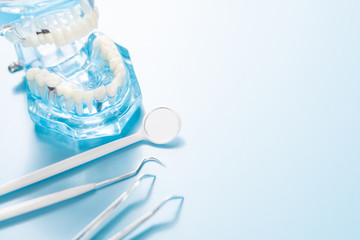 Dental model in oral health care concept.