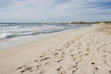 Fototapeta na wymiar Es Trenc Beach, Mallorca (Mediterranean)