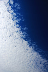 The boundary of cirrus clouds in the bright blue sky