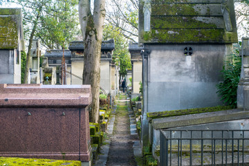 A Parisian cemetery at mid-day with a person standing in the middle of the frame.
