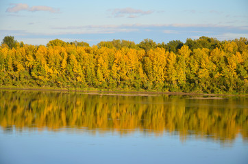 autumn trees are reflected in the river