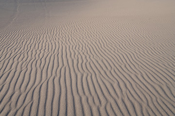Natural wind-blown wave pattern in grainy sand at Great Sand Dunes National Park, Colorado