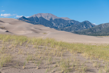 Windswept grass and sand dunes in late afternoon sun under the Rocky Mountains in Great Sand Dunes National Park