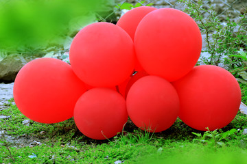 Red balloons on the green ground