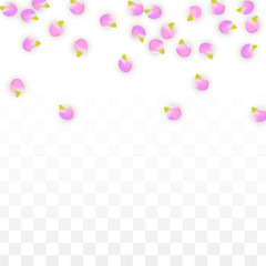 Vector Realistic Pink Petals Falling on Transparent Background.  Spring Romantic Flowers Illustration. Flying Petals. Sakura Spa Design. Blossom Confetti.