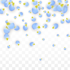 Vector Realistic Blue Petals Falling on Transparent Background.  Spring Romantic Flowers Illustration. Flying Petals. Sakura Spa Design. Blossom Confetti.