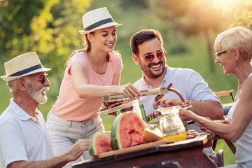 Family having lunch on picnic