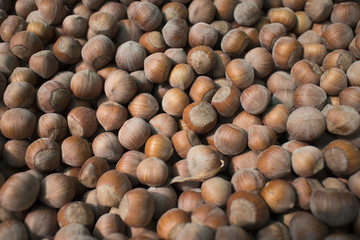 nuts, hazelnuts as background