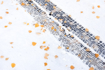 Car tire tracks and yellow autumn leaves in snow.