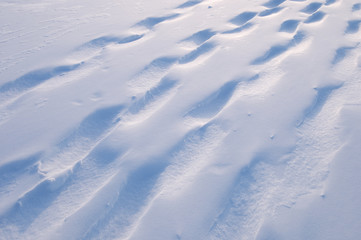 Fototapeta na wymiar Snowshoe tracks on powder snow.