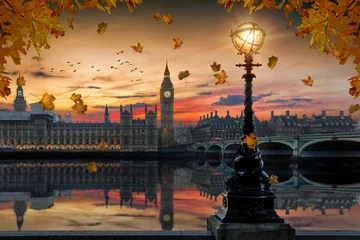 Foto op Canvas Herbst in London: goldener Sonnenuntergang hinter dem Westminster Palast an der Themse in London mit Laub an den Bäumen © moofushi