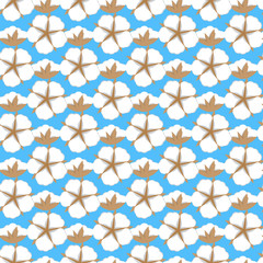Cotton flower Seamless pattern. Flat style on cute blue background. Vector illustration.