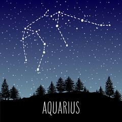 Aquarius Zodiac sign constellation over the night forest