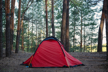 Tent in the forest