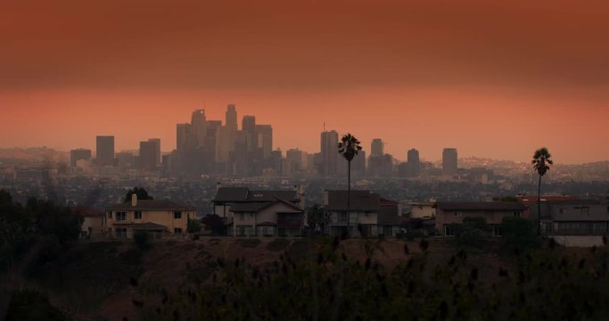 Downtown Los Angeles city skyline at dusk with houses, palm trees and wild plants in the foreground. Locked off 4K