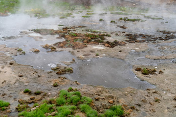 Bubbling hot spring produces sulphur gas in Yellowstone National Park