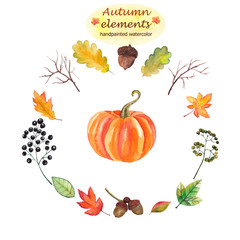 Handpainted watercolor autumn elements on white background: pumpkin, leaves and berries