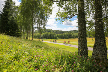 Cyclists riding through green hilly countryside