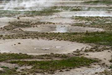 Hot sulfurous gases emerge from a fumarole hot spring in Yellowstone National Park
