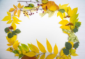 frame of autumn leaves on table background
