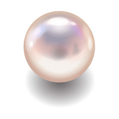 Realistic pearl with drop shadow. vector design object isolated on white background.