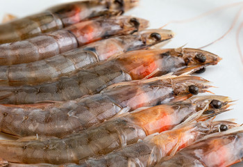 Close-up of fresh, raw and whole prawns. On white background.