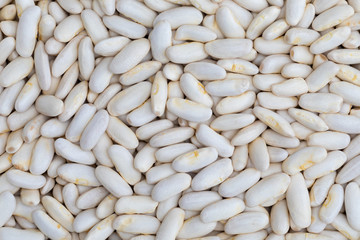 Texture of white beans (fabes) raw (legume)