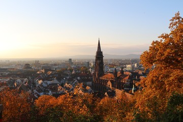 Freiburger Ausblick
