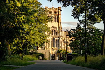 Cathedral through the Trees