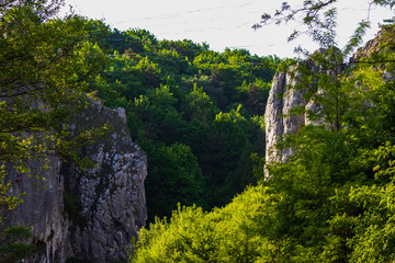 rocks in the Bolechowicka Valley in the Krakow-Czestochowa Upland