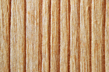yellow texture of wood, birch. background annual rings, macro.