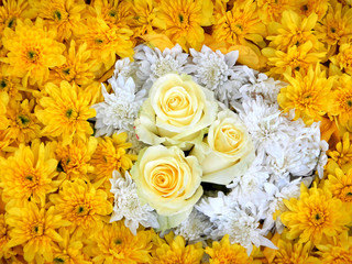 Yellow flower ornament, yellow rose and chrisantheme