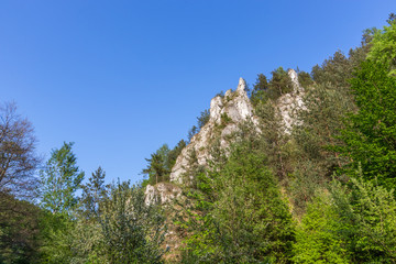 rocks in the Kobylańska valley in the Kraków-Częstochowa Upland