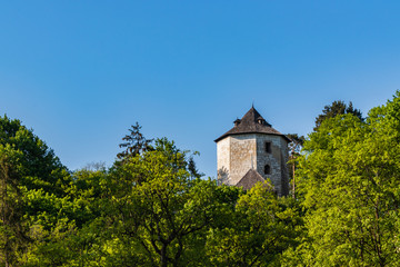 Obraz premium the castle in Ojców near Krakow