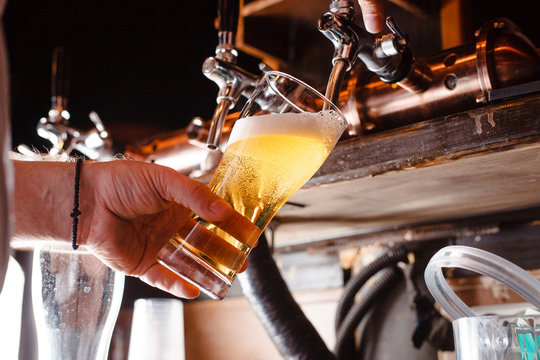 bartender pours a light beer close up