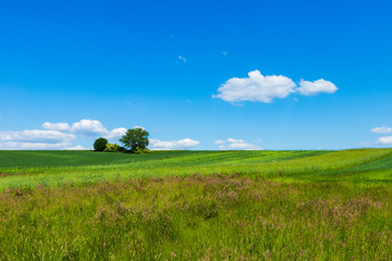 idyllic view, south of Poland