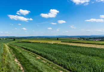 Fototapeta na wymiar arable fields, south of Poland