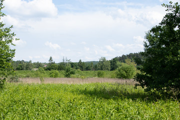 Piekary rocks on the Vistula near Kraków