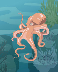 Vector illustration of a cartoon octopus