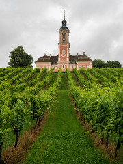 Fototapeta na wymiar Rosafarbene Kirche in den grünen Weinbergen am Bodensee