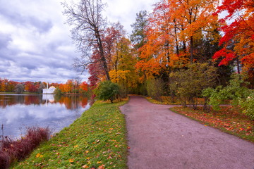 Autumn foliage in Catherine park, Tsarskoe Selo (Pushkin), St. Petersburg, Russia