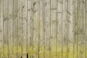 vintage wooden wall texture