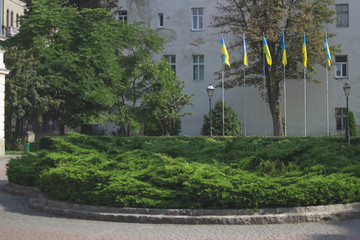 Ukraińskie flagi