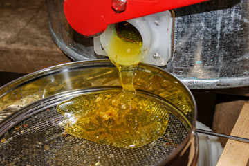 Unfiltered honey flows from the extractor. Honey and wax is poured on a strainer.
