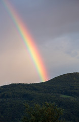 Rainbow after the rain,vertical image