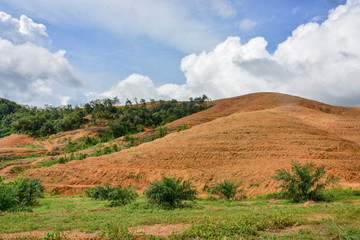 Obraz premium forest destruction problem on the hill for palm oil plantations in southern of Thailand