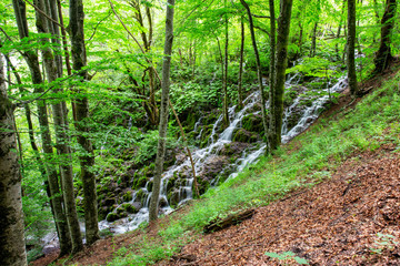 Waterfall on the Plitvice Lakes